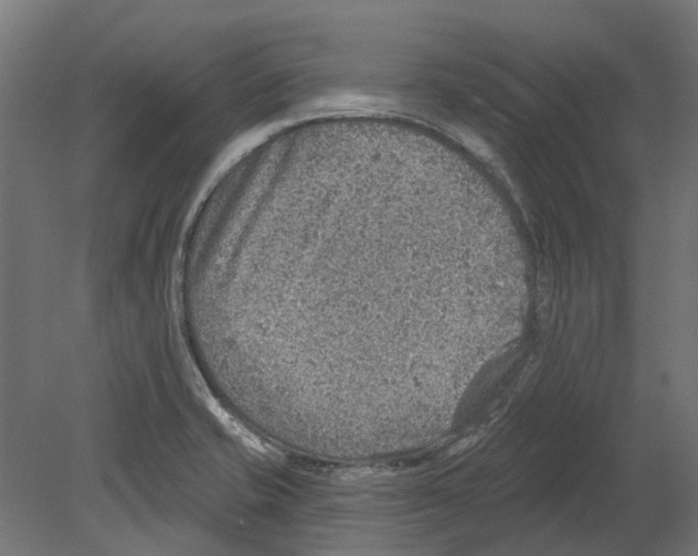 X0000080721421200701121832