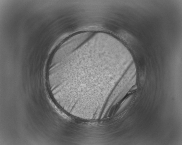 X0000080721422200701121832