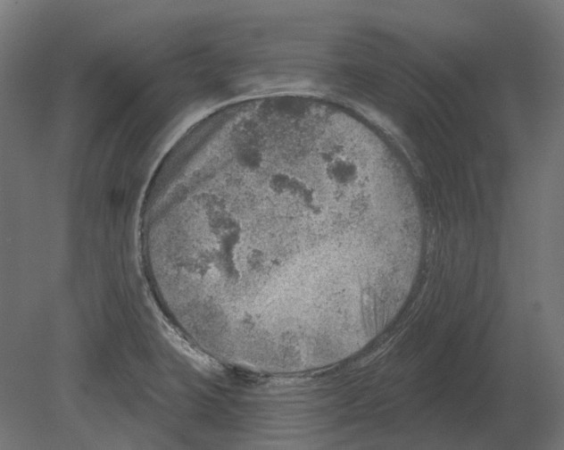 X0000080721423200701121832