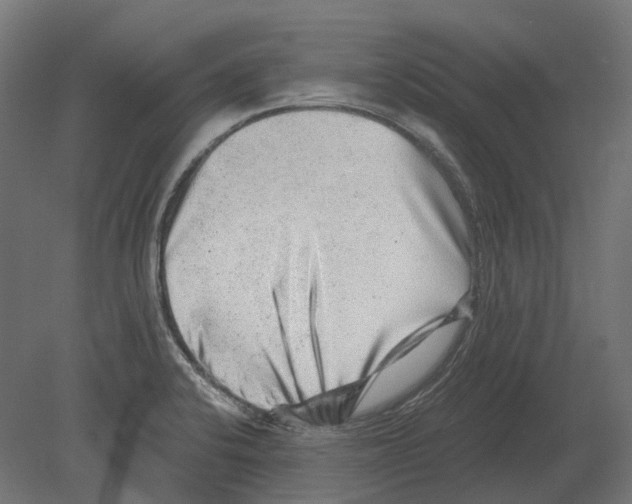 X0000080721424200701121832