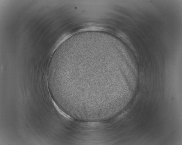 X0000080721425200701121832