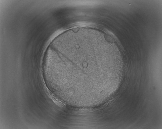 X0000080721427200701121832