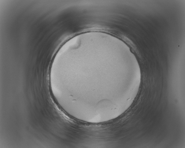 X0000080721428200701121832