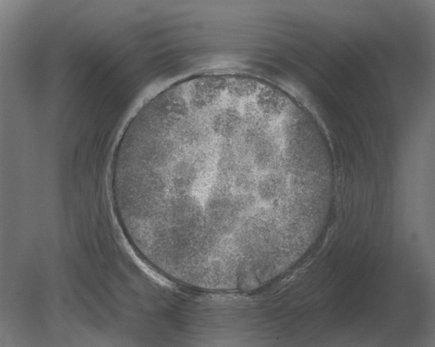 X0000080721429200701121832