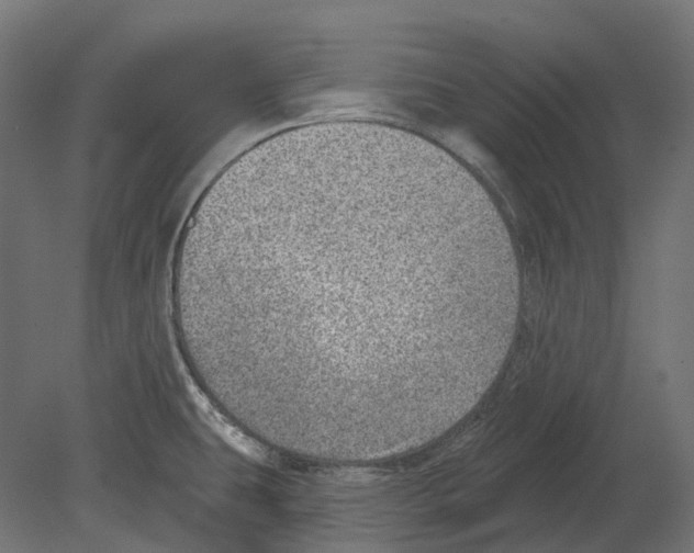 X0000080721431200701121832