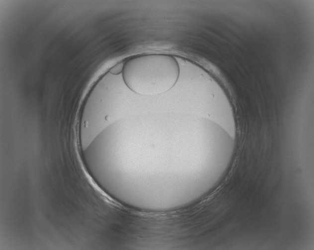 X0000080721432200701121832