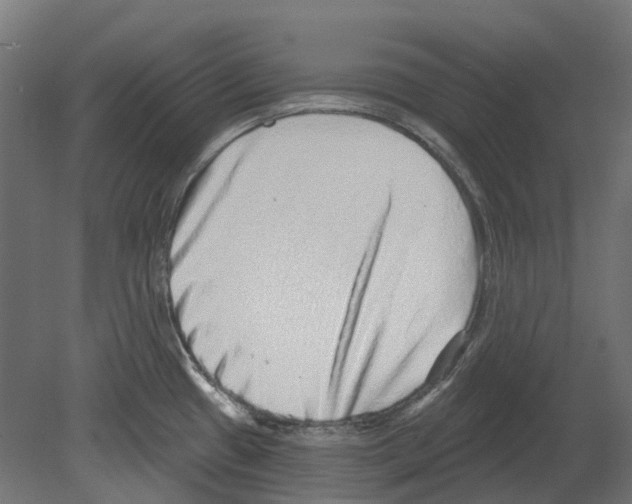 X0000080721433200701121832