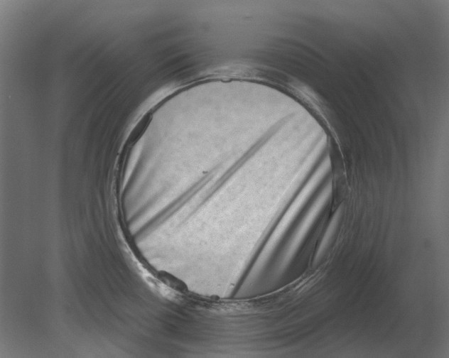 X0000080721434200701121832