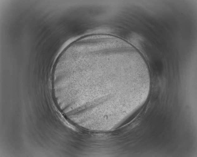 X0000080721436200701121832