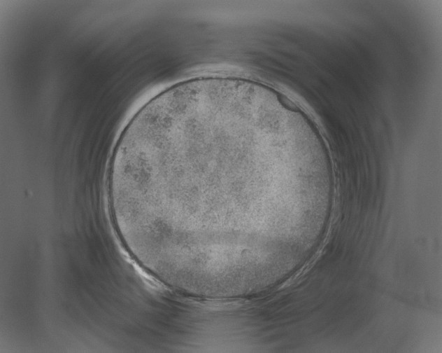 X0000080721440200701121832