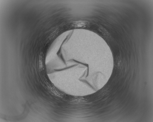 X0000080721442200701121831