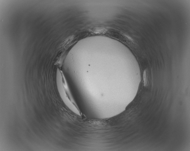 X0000080721443200701121831