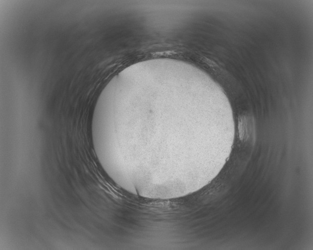 X0000080721444200701121831