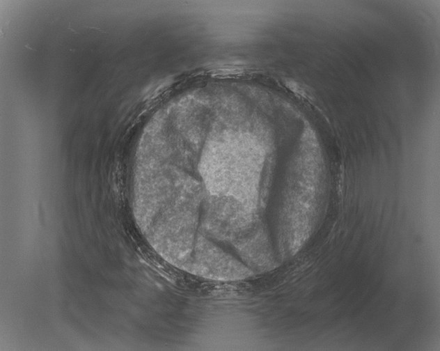 X0000080721445200701121831