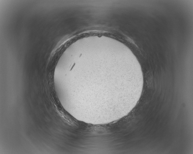 X0000080721448200701121831