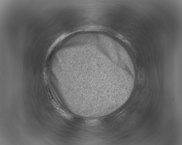 X0000080721454200701121831