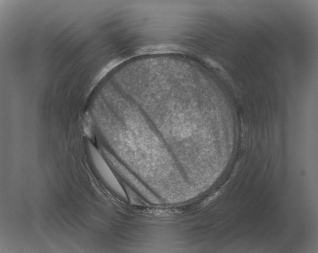 X0000080721457200701121831