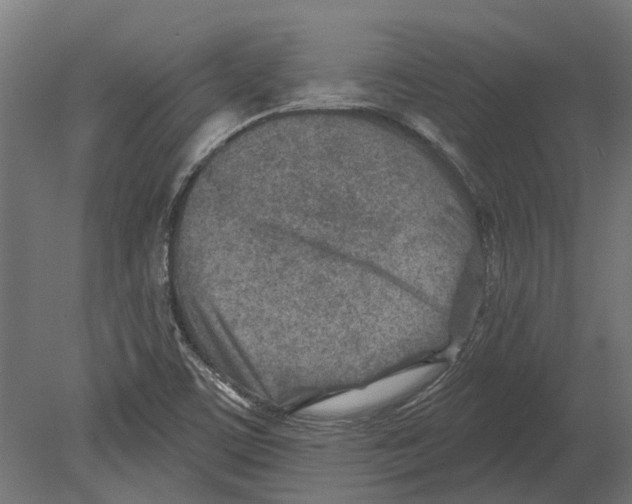 X0000080721459200701121831