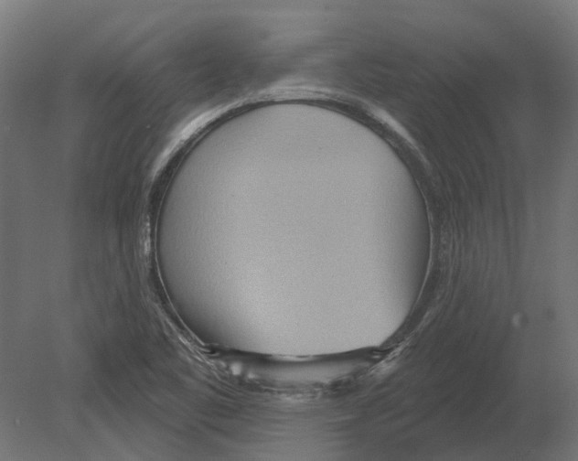 X0000080721461200701121831