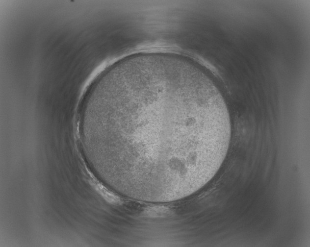 X0000080721462200701121831