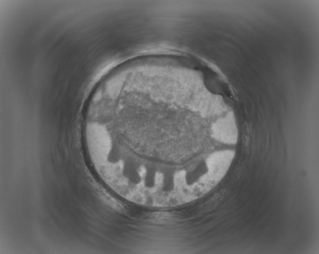 X0000080721463200701121831