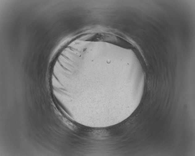 X0000080721464200701121831