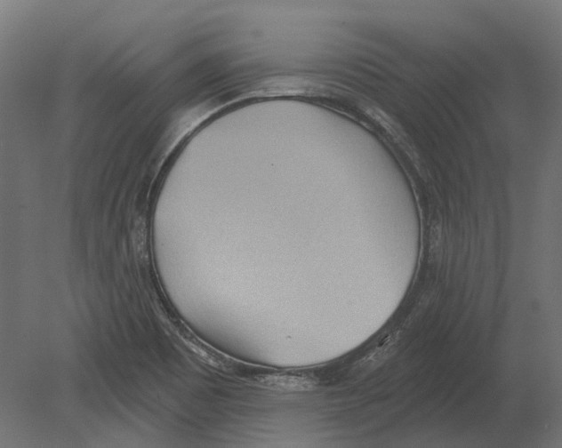 X0000080721465200701121831