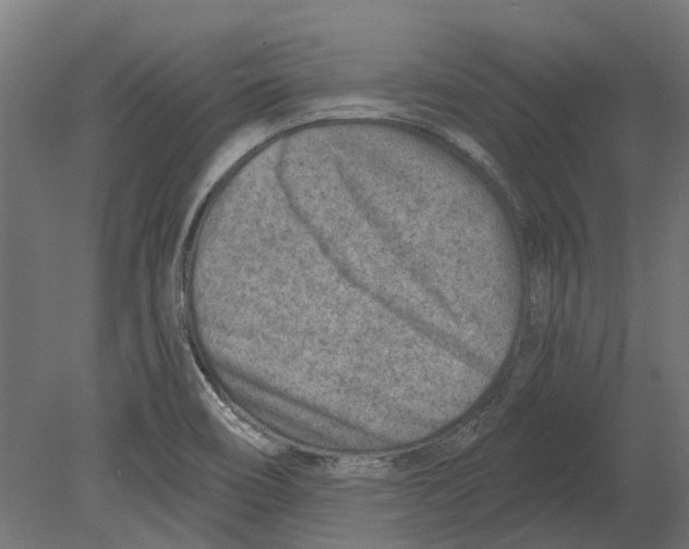 X0000080721466200701121831