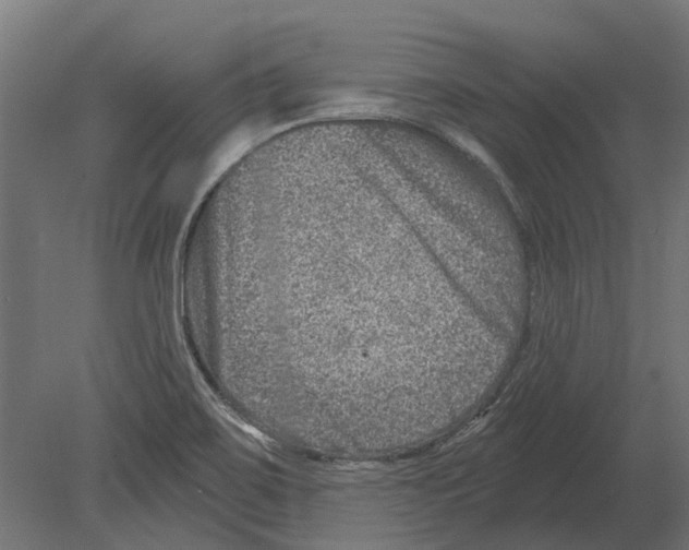 X0000080721467200701121831