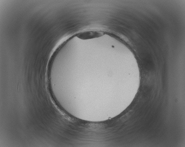 X0000080721469200701121831