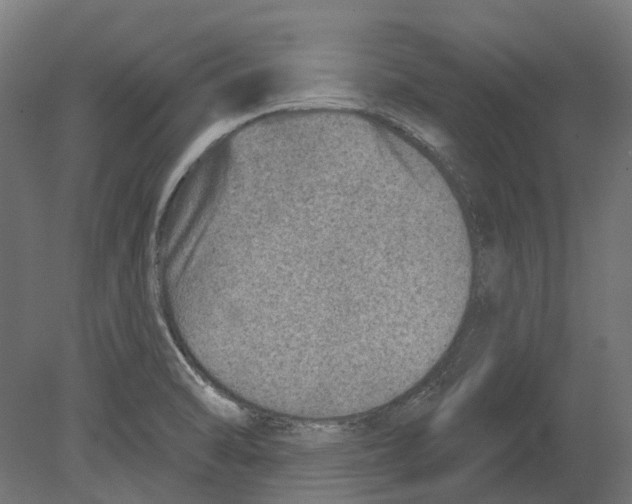 X0000080721470200701121831