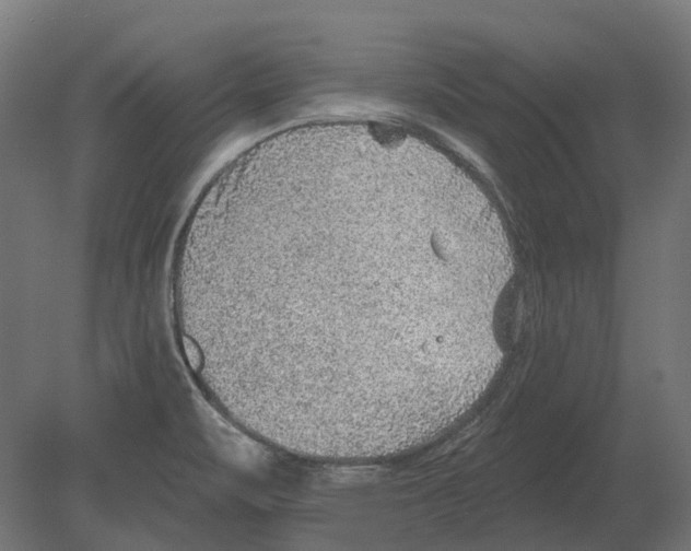 X0000080721471200701121831