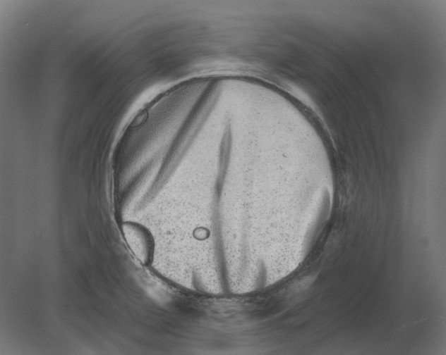 X0000080721472200701121831