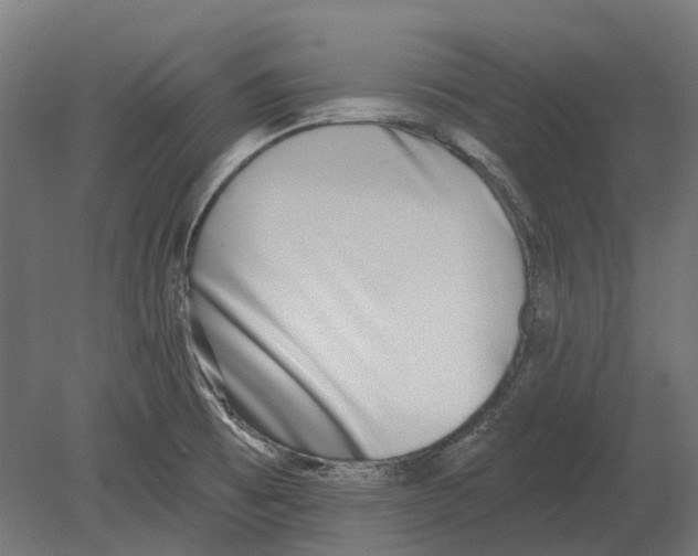 X0000080721473200701121831