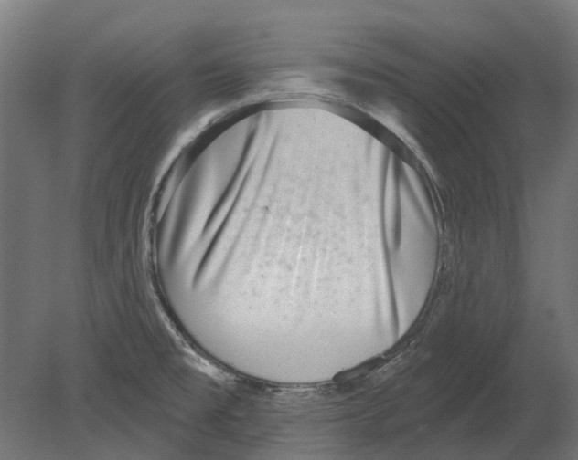 X0000080721477200701121831