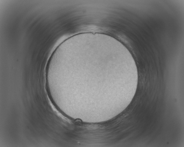 X0000080721479200701121831