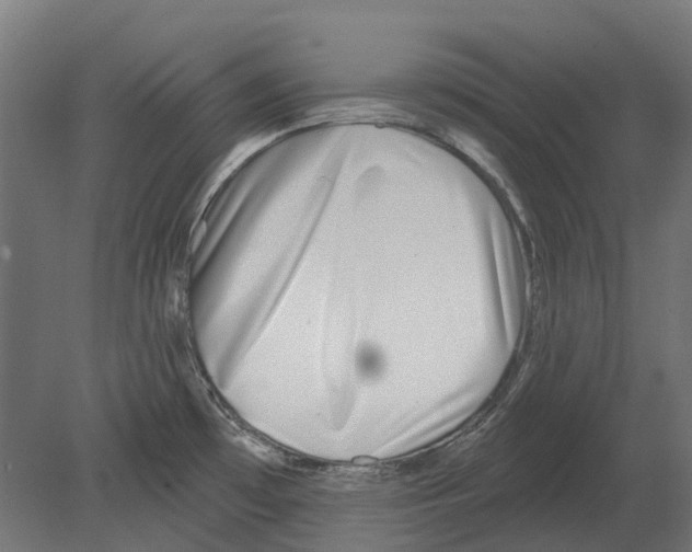 X0000080721481200701121830