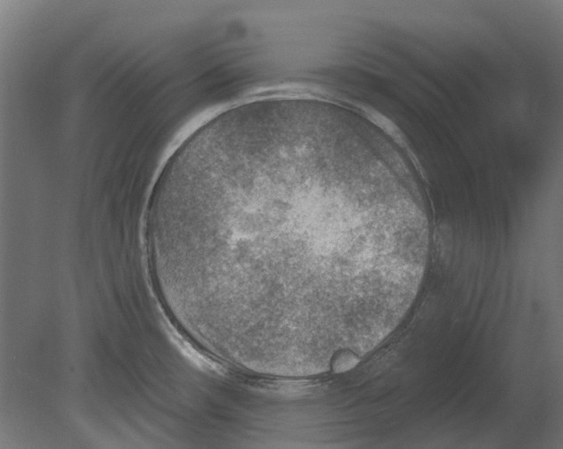 X0000080721482200701121830