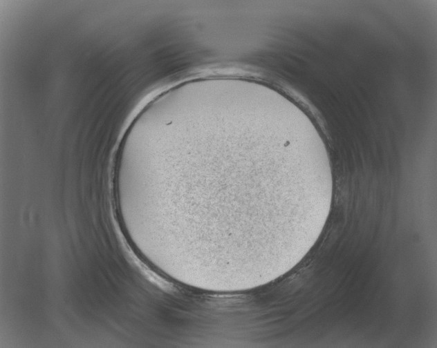 X0000080721483200701121830