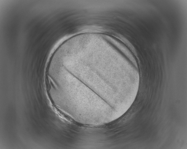 X0000080721488200701121830