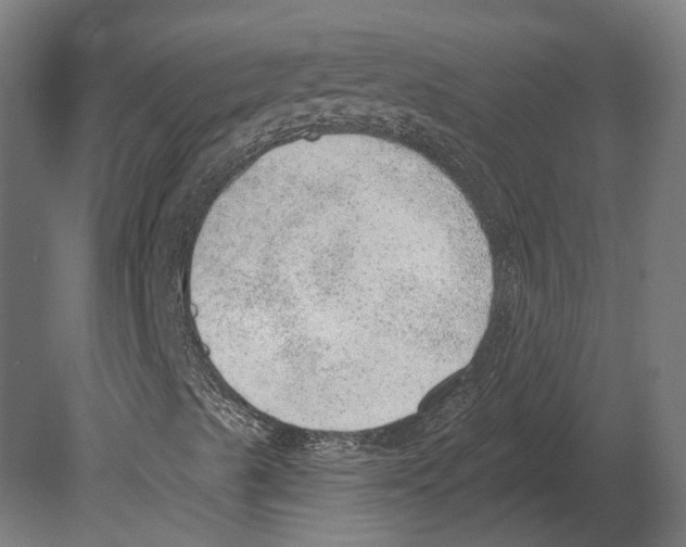 X0000080721489200701121830