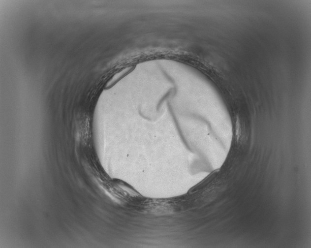 X0000080721492200701121830