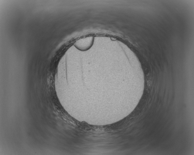 X0000080721495200701121830