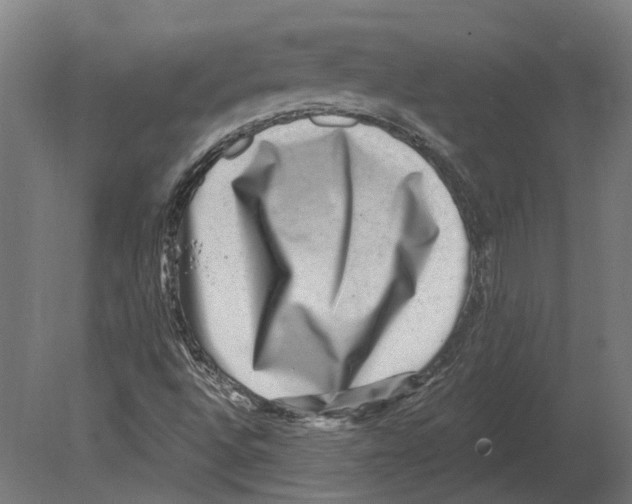 X0000080721496200701121830