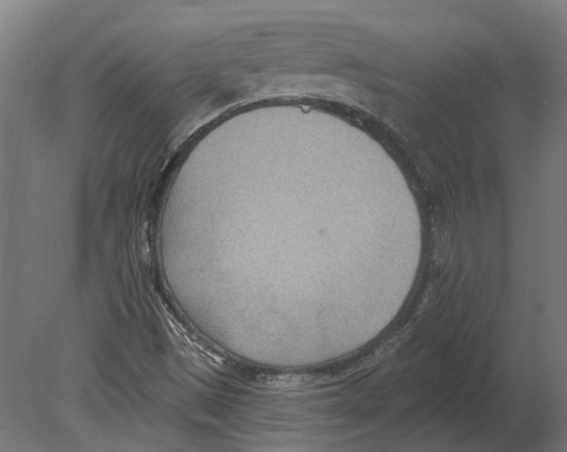 X0000080721497200701121830