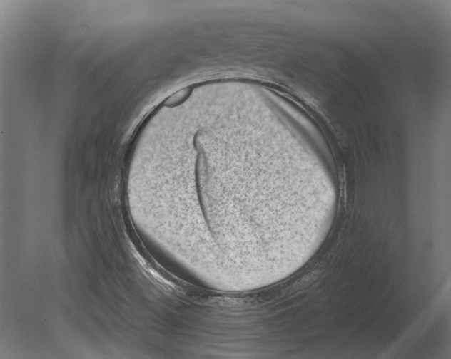 X0000080721500200701121830