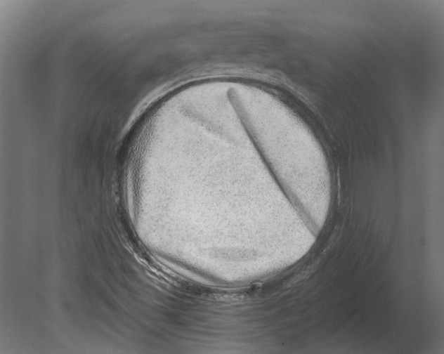 X0000080721501200701121830