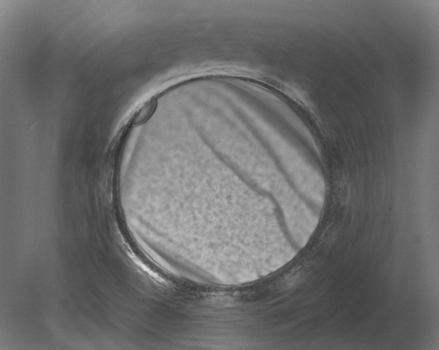 X0000080721504200701121830