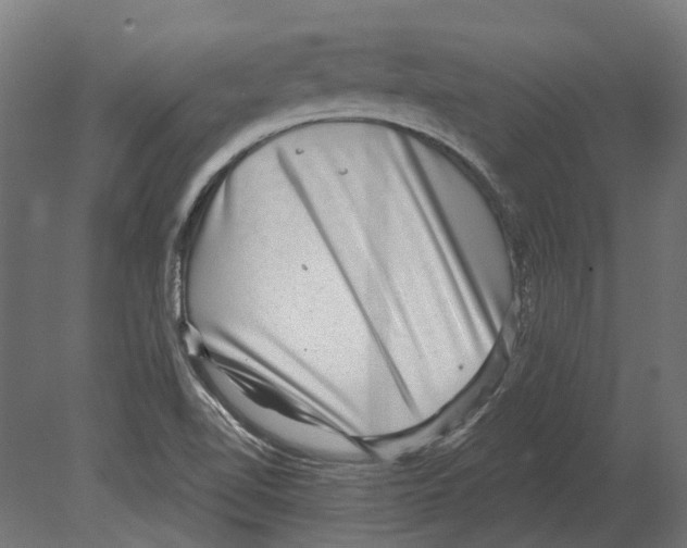 X0000080721510200701121830