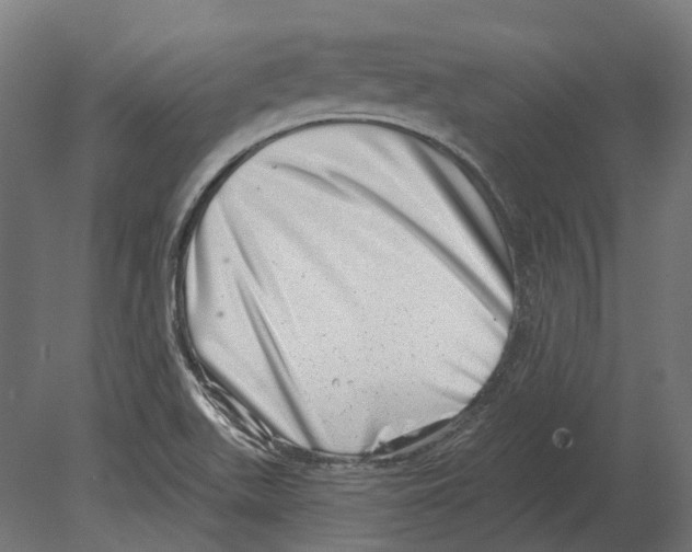 X0000080721511200701121830